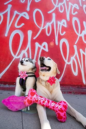 H&K PET PINWHEEL | אהבת הגורים שלי | יום האהבה של Velcro Association לכלבים/חתולים | קובץ מצורף צווארון פינגל מחמד מהנה | אביזר לחיות מחמד חמוד ונוח